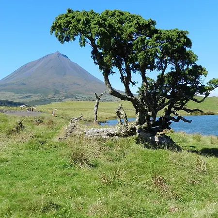 Prázdninový dům Adega Pedra Do Lagar Calheta de Nesquim